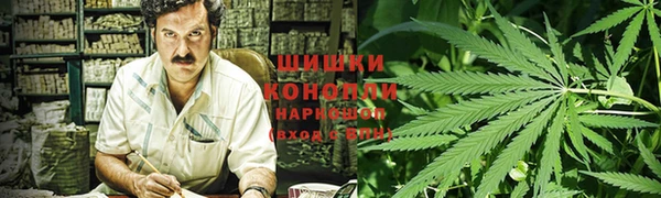 прущие грибы Остров
