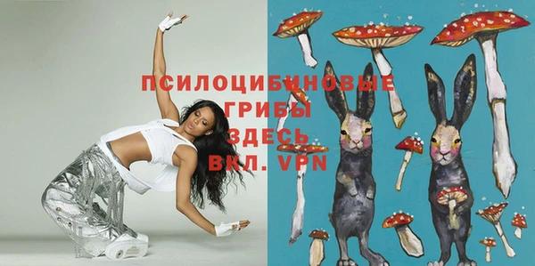 мдпв Арсеньев