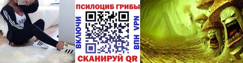Псилоцибиновые грибы GOLDEN TEACHER  kraken как зайти  Салаир  как найти наркотики 