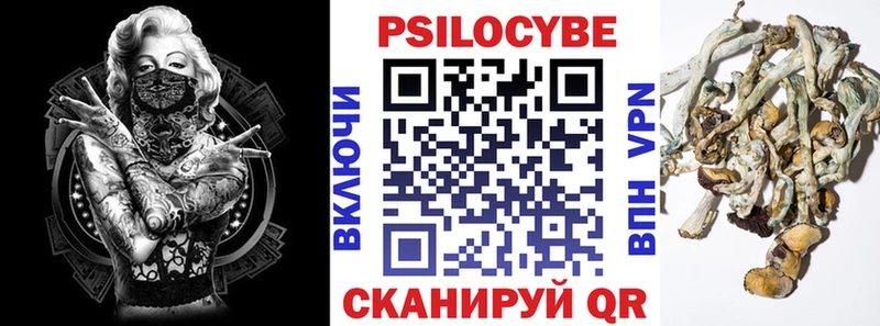 Псилоцибиновые грибы мицелий Салаир
